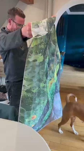 NINTCHDBPICT001074887543