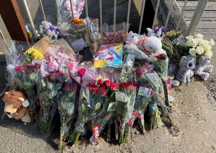 Girl, nine, drowned in Thames despite desperate attempt to save her and cousin, seven