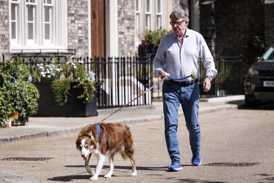 Inquiry continues into appointment of former UK ambassador Peter Mandelson amid misconduct allegations