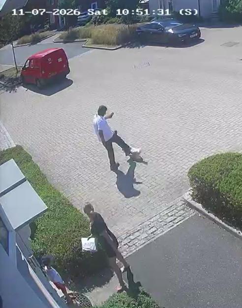 Heartbreaking Incident: Postman in England Shirt Kicks Blind Shih Tzu Ethel 'Like a Football' Before Her Untimely Death