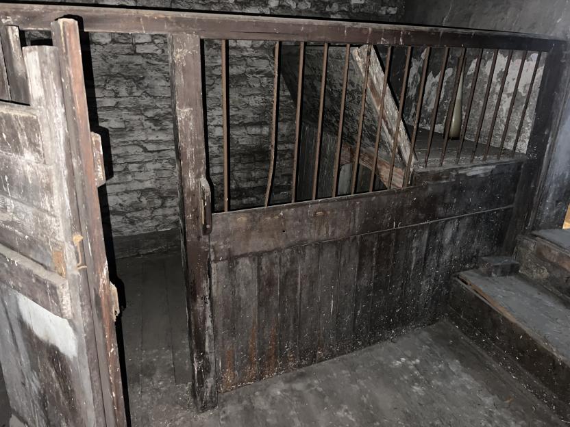 NINTCHDBPICT001063827055