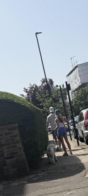 Blu and Gabby walking a dog.