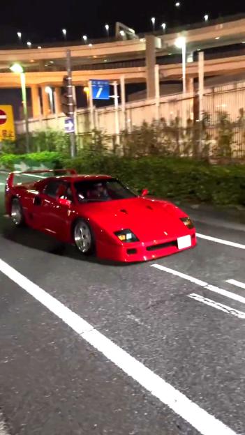 NINTCHDBPICT001069274766