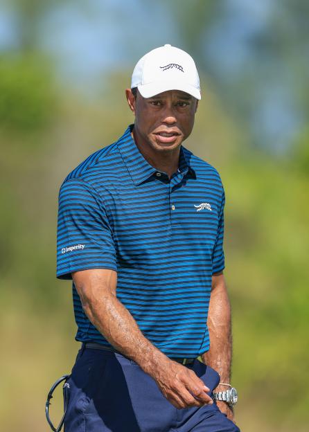 Hero World Challenge 2025 - Previews