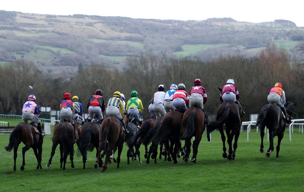 Cheltenham Day 4 Results: Who Triumphed in the 2026 Open Hunters' Chase? Full Finishing Order Revealed!