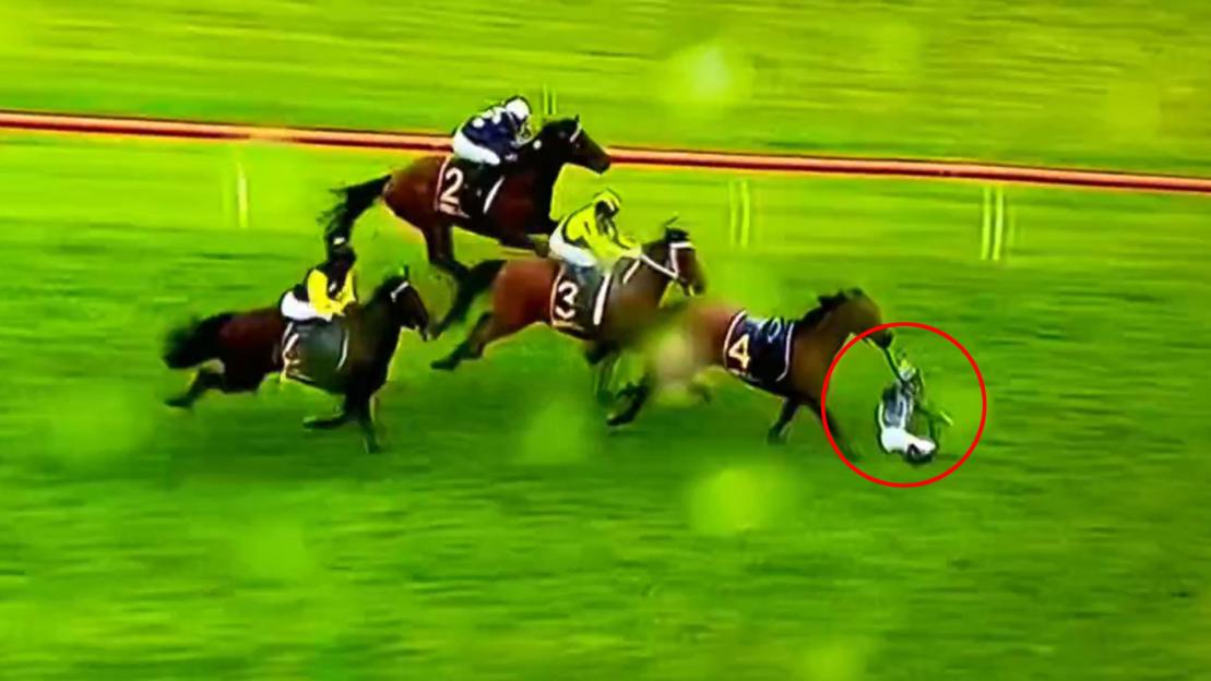 Unbelievable Moment: Jockey Knocked Off Just Inches from Victory by a Horse's HEAD!