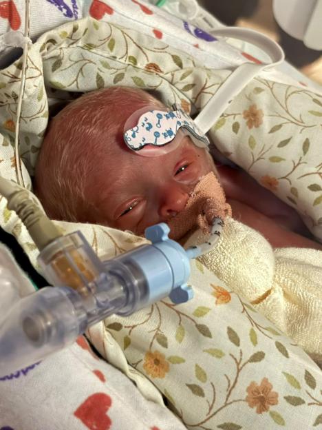 NINTCHDBPICT001060150191