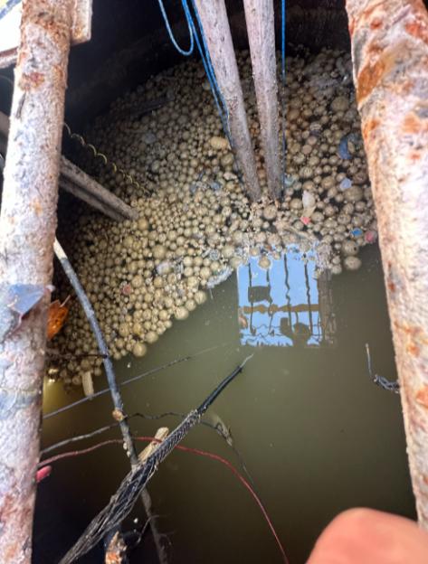 A sewage pumping station is blocked by a large amount of condoms, wet wipes, and fats floating on dark water.