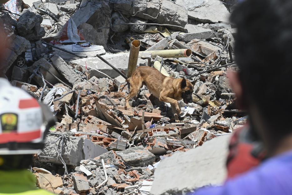 Search and rescue efforts continue in earthquake-hit Pereira