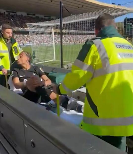 NINTCHDBPICT001076335720