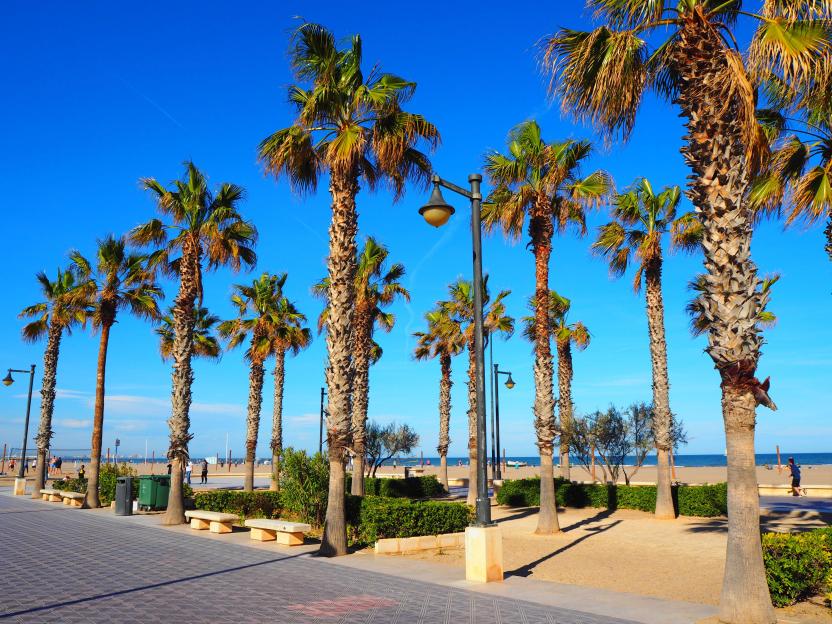 NINTCHDBPICT001066024654