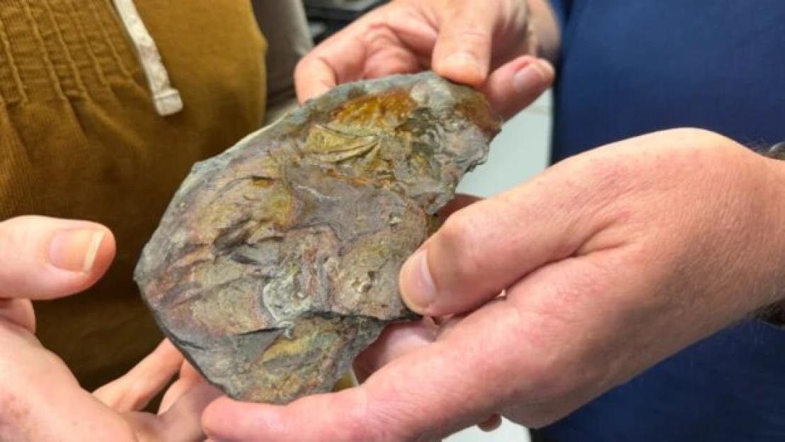 A close-up of two people holding a 320-million-year-old fossil of a fish.