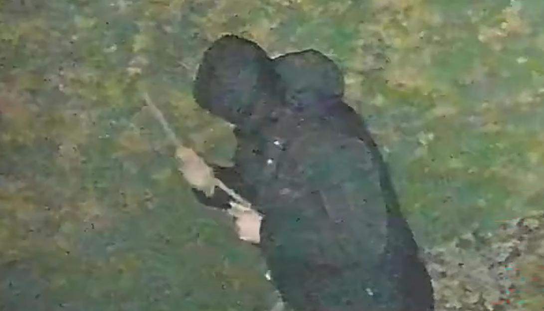CCTV image of John Ashby, wearing a dark hooded jacket, holding a stick.