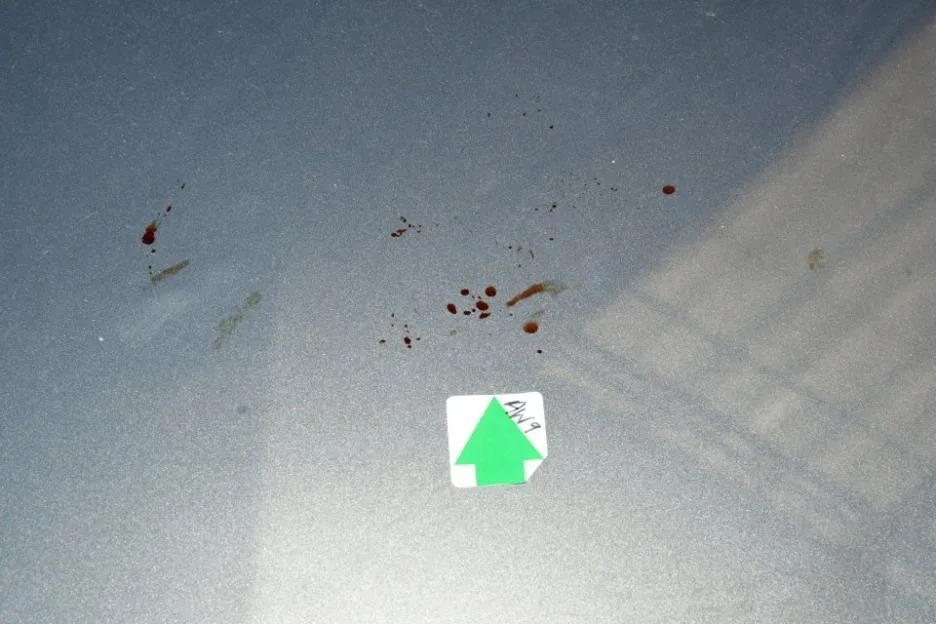 Blood on a car surface, marked with a green arrow label.