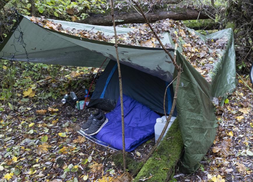 NINTCHDBPICT001038484909