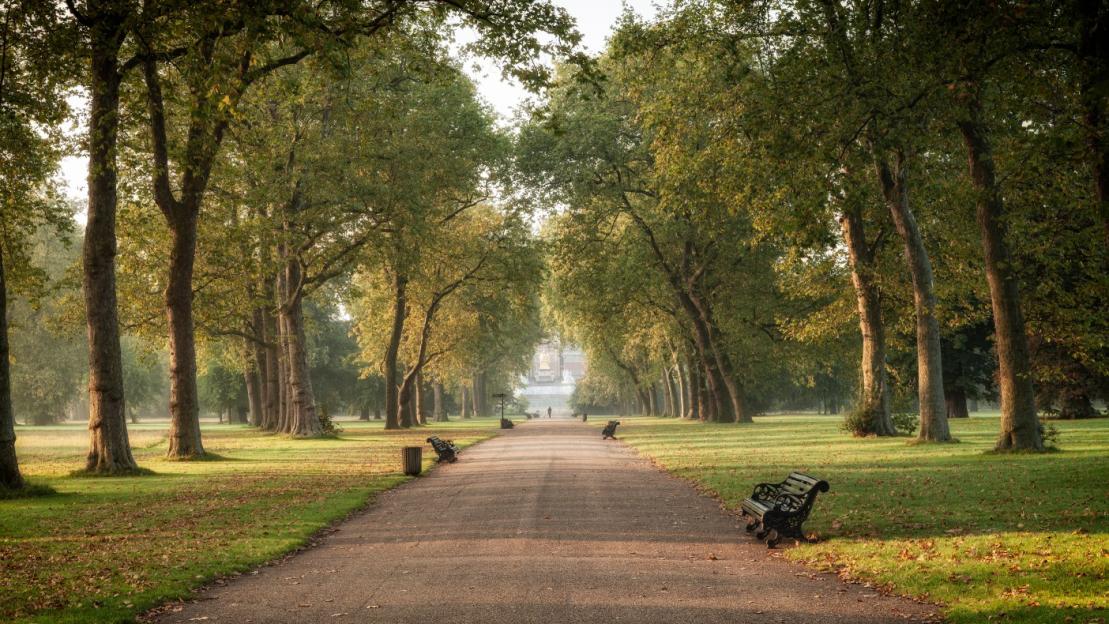 A tree-lined park pathway leads to a distant building.