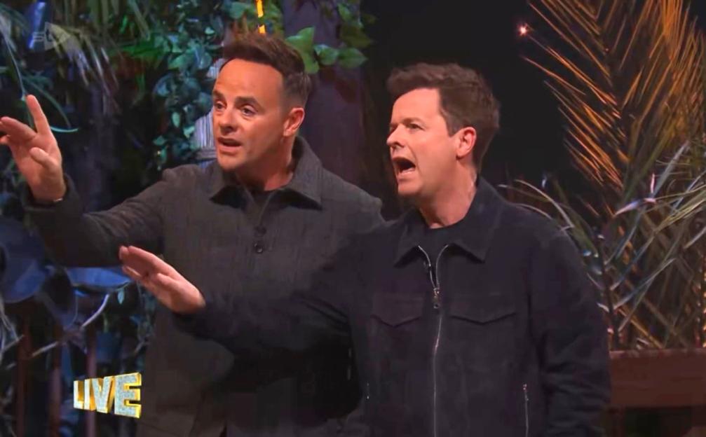 Ant and Dec standing side by side, both gesturing with their arms and hands, with Ant facing left and Dec facing right.