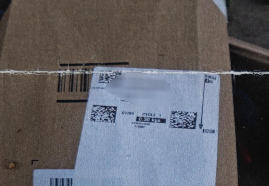 NINTCHDBPICT001038529764