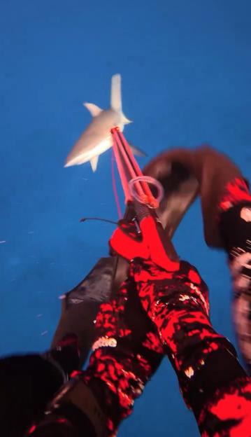VIDEO: Influencer nearly loses leg in shocking SHARK attack but miraculously survives