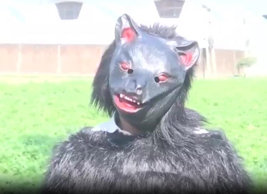 Person in a black animal mask with red eyes and red inner ears, wearing a black furry suit.