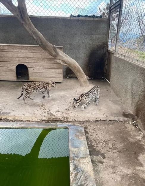 NINTCHDBPICT000846932173