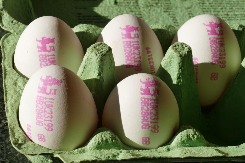British Lion stamped eggs feature a red lion quality mark this guarantees the eggs are from British hens vaccinated against salmonella, UK - 22 Aug 2026