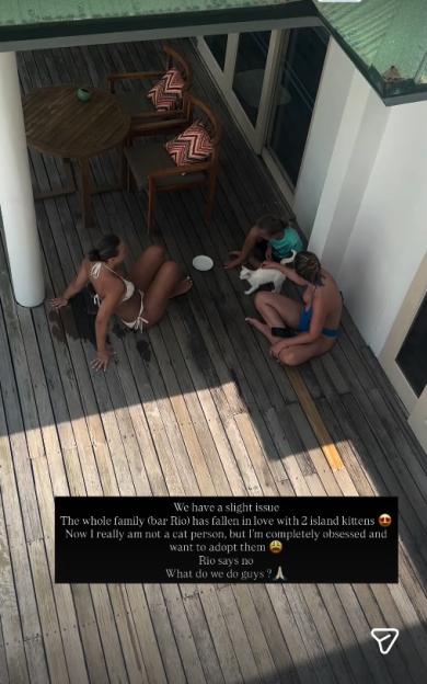 NINTCHDBPICT001071604529