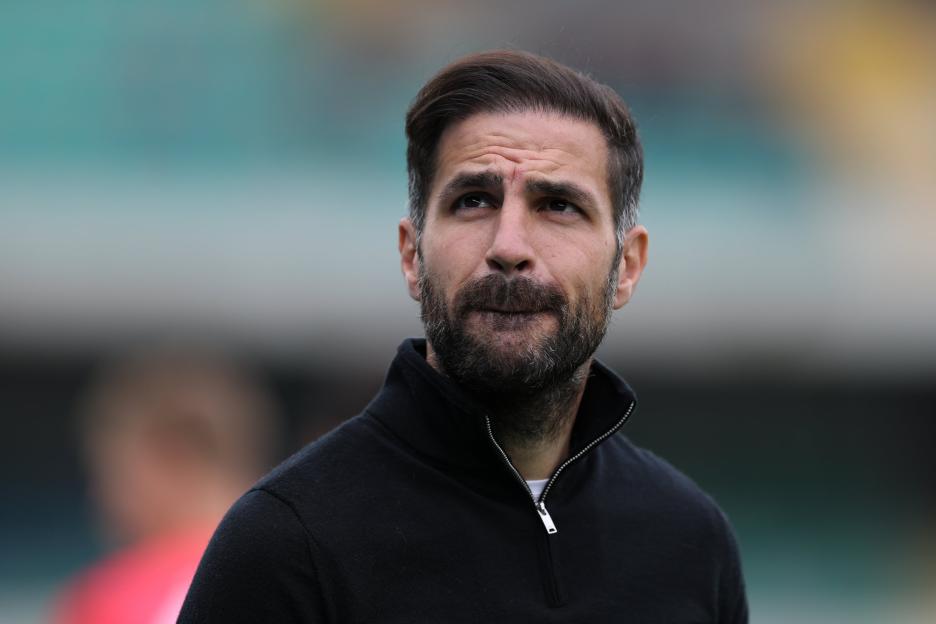 Hellas Verona FC coach looking on during a Serie A match.