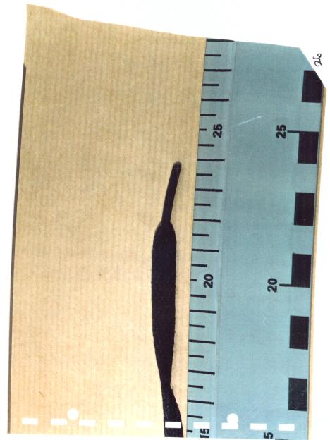 A cut section of a shoelace measured against a ruler.
