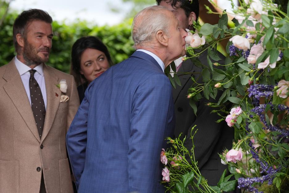 Chelsea Flower Show 2026: Complete Schedule, TV Guide, and Live Streaming Details