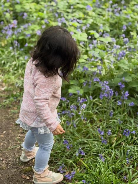 A young child in a pink sweater and blue leggings stands on a dirt path, looking at bluebell flowers.