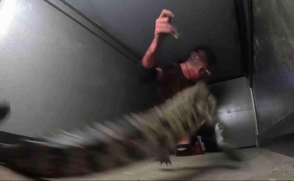 Aitch doing the bush tucker trial The Jungle Doomsday Vault.