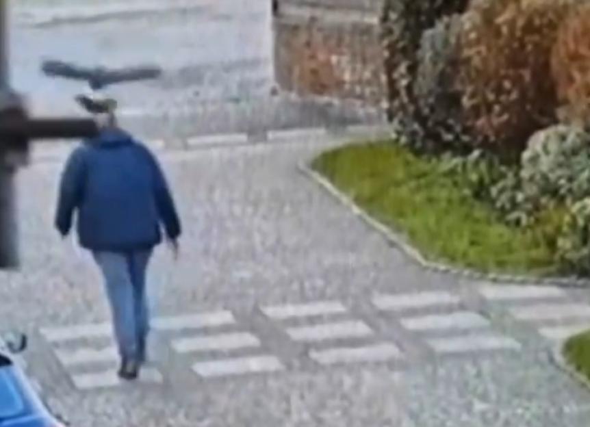 A buzzard attacking a person on a paved driveway.