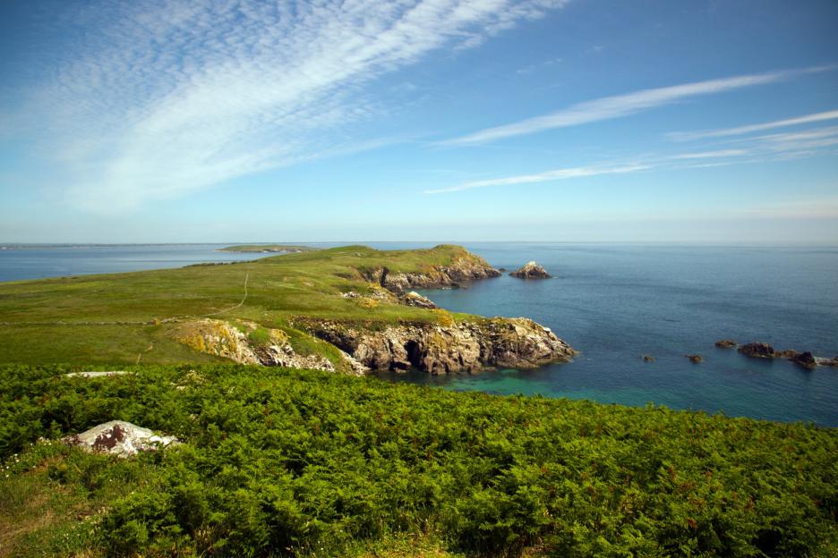 Discover the Stunning Irish Island Filled with Puffins, Scenic Ferry Rides, and Breathtaking Coastal Views—Your Perfect Summer Getaway!