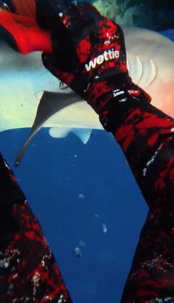 VIDEO: Influencer nearly loses leg in shocking SHARK attack but miraculously survives
