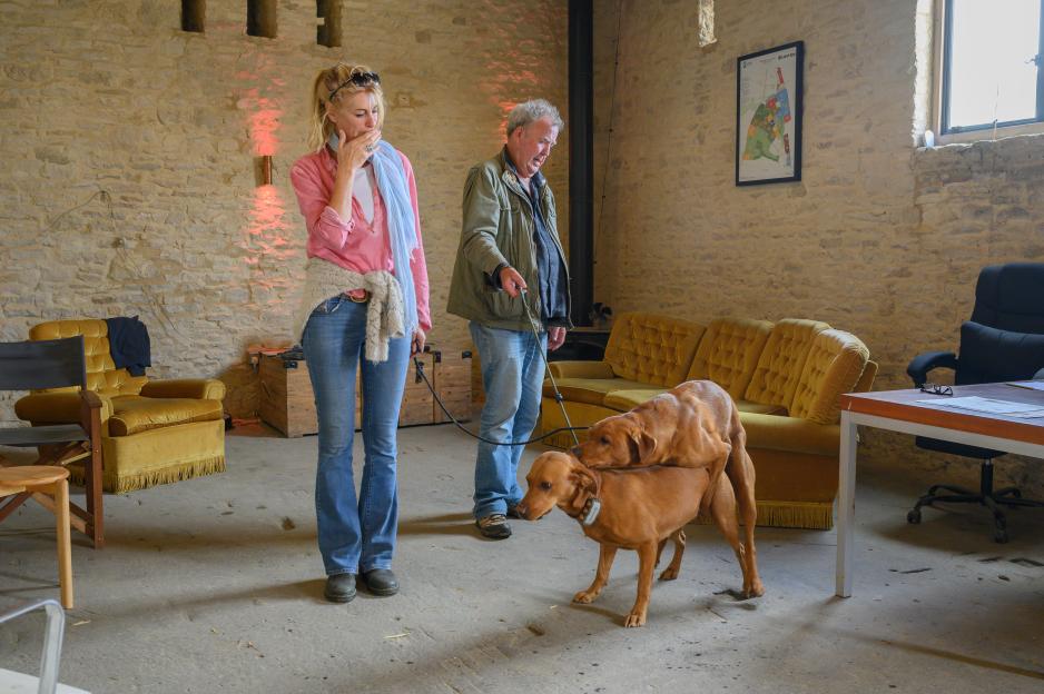 Jeremy Clarkson and a woman observing two dogs humping.