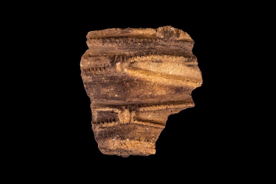 Bulford archaeological work