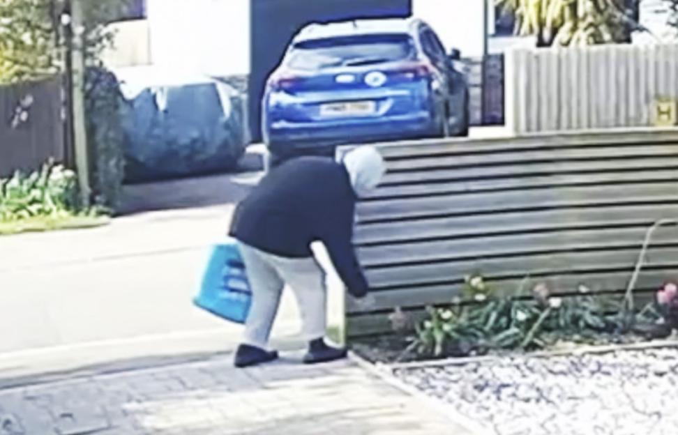 'Strange Encounter: Hooded Thief Swipes a Single Flower from Couple's Garden and Hides It in Her Bag'