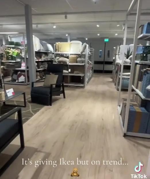 NINTCHDBPICT001067683180