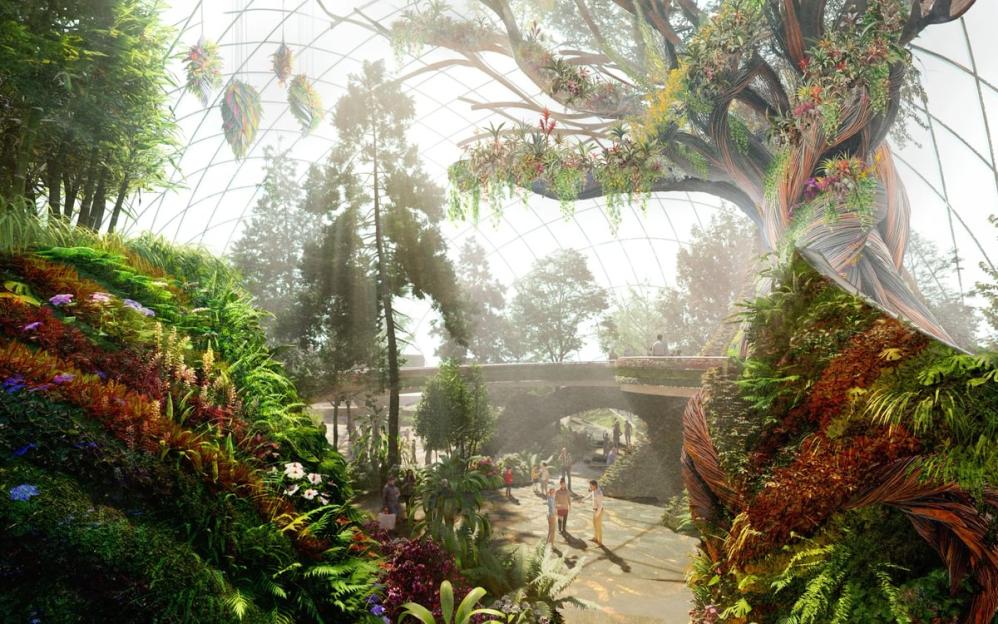 Illustration of the Eden Project Morecambe interior, featuring lush vegetation, a giant tree structure, and people walking through the biodome.