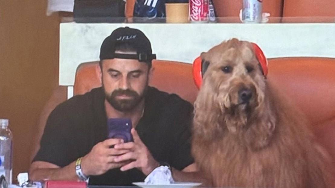 'Fans Are Amazed as Dog in Ear Defenders Steals the Show at Argentina vs. Cape Verde World Cup Match!'