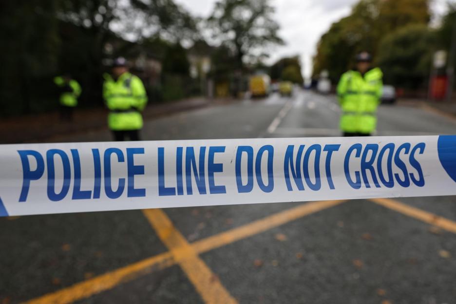 Heartbreaking Incident: Child Fatally Mauled by Dog as Armed Police Respond, One Dog Destroyed and Another Captured