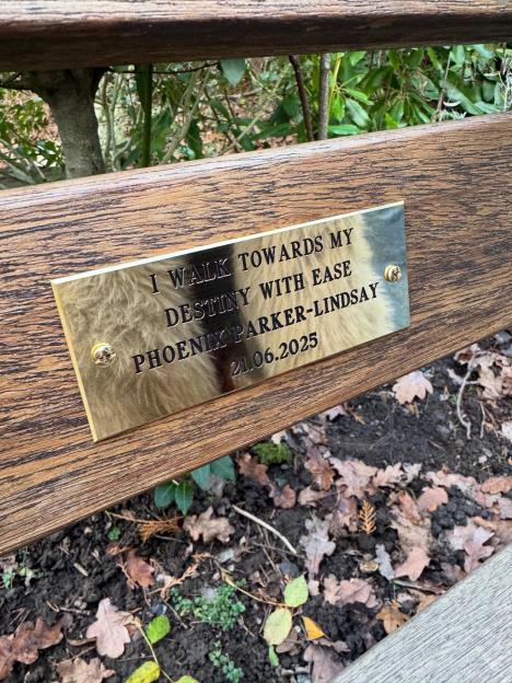 NINTCHDBPICT001047717198