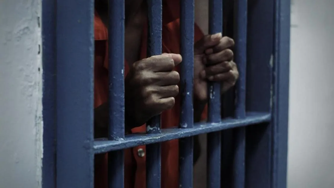 Nigerian campaign worker arrested by ICE after guilty plea in US