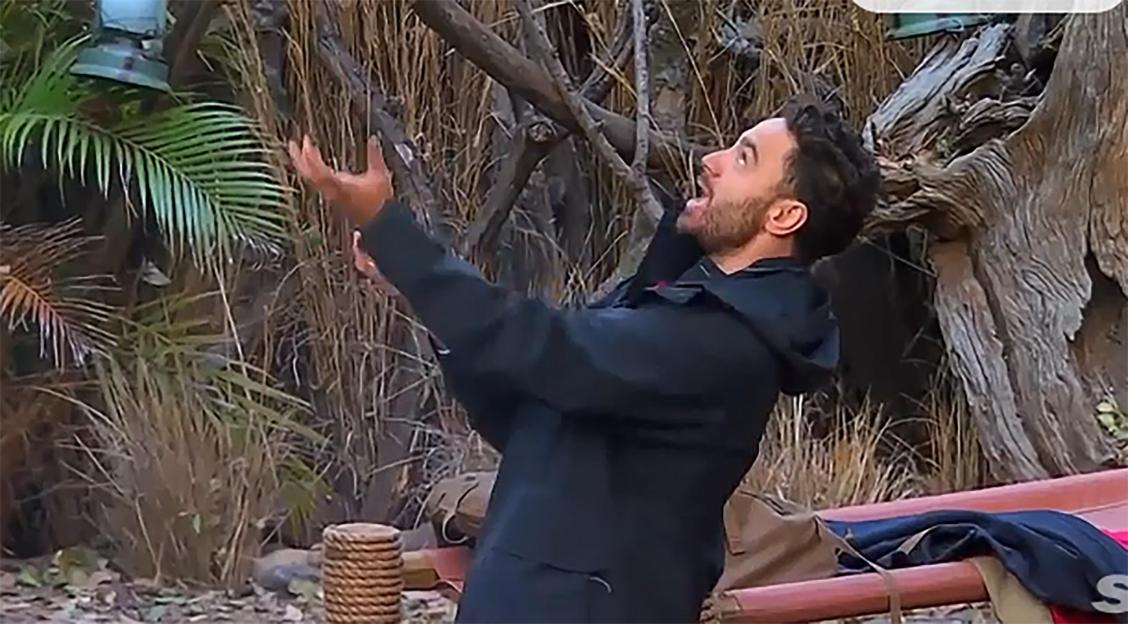 A man in a black jacket yells, eyes wide, with his hands raised, in an outdoor setting with dry plants and palm fronds.