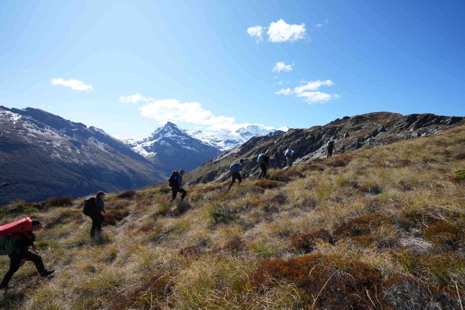 NINTCHDBPICT001056028799