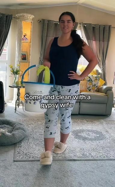 'House Proud Travelers Share Their Extreme Cleaning Hacks – From Weekly Fridge Dismantling to Deep Scrubs!'