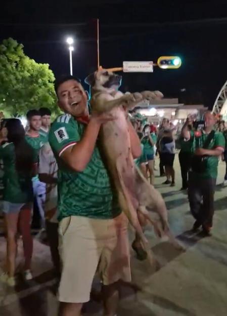Lost Dog Spotted Celebrating with Fans at World Cup After Month Away, Joyfully Reunited with Owner!