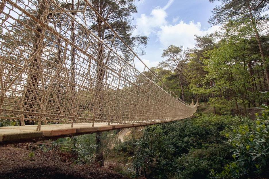 A long rope bridge with wooden planks extends through a dense forest, connecting two areas over a ravine.