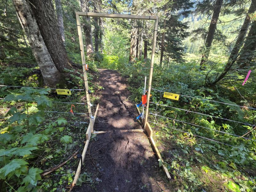 Electric fence gate on a muddy trail in a forest, with bear warning signs.